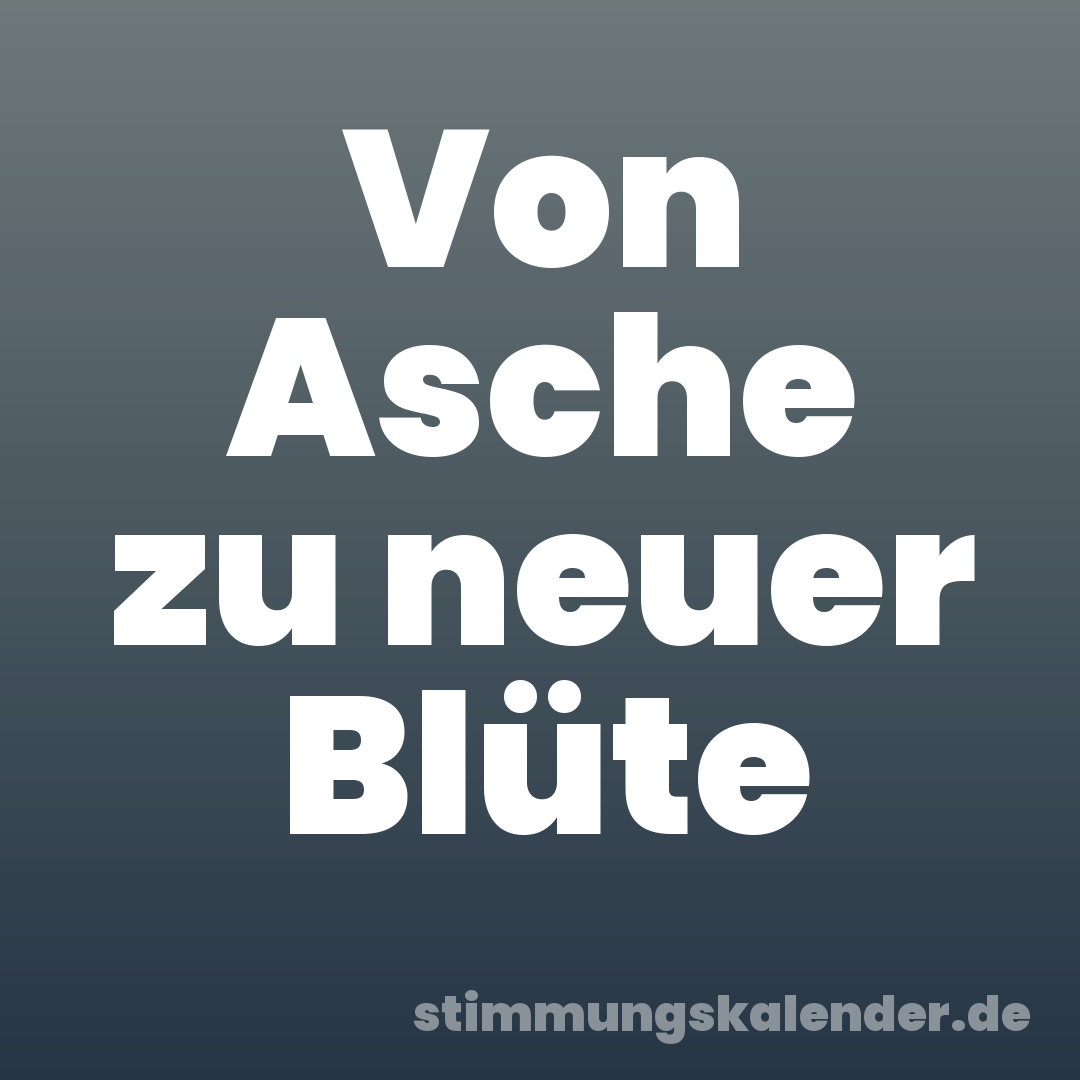 Von Asche zu neuer Blüte