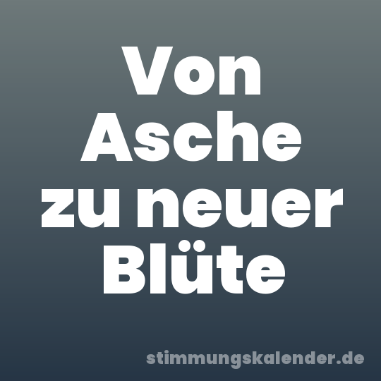 Von Asche zu neuer Blüte