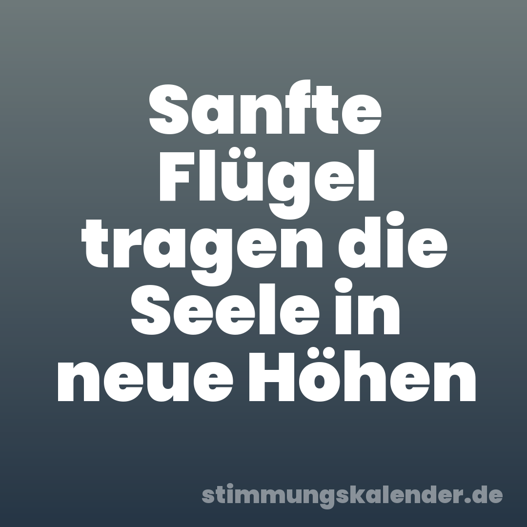 Sanfte Flügel tragen die Seele in neue Höhen