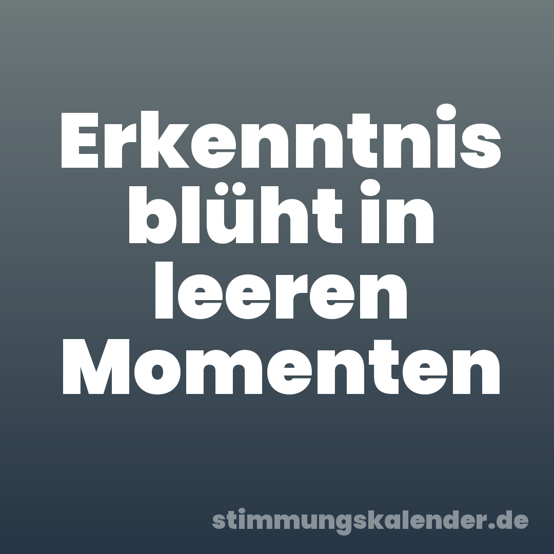Erkenntnis blüht in leeren Momenten