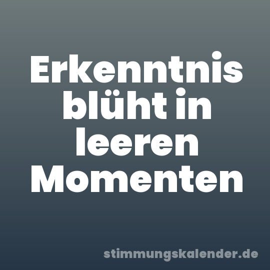 Erkenntnis blüht in leeren Momenten