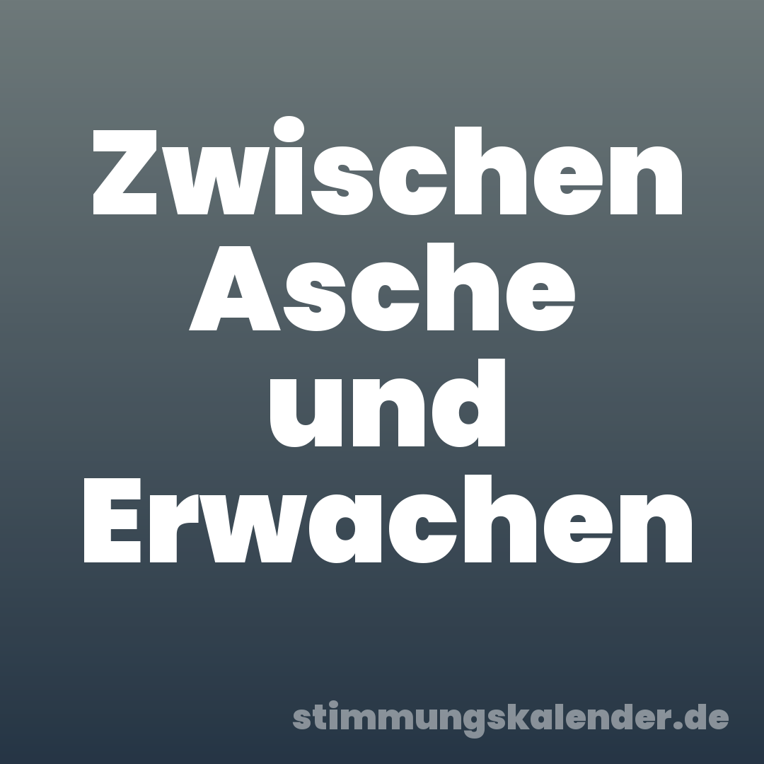 Zwischen Asche und Erwachen