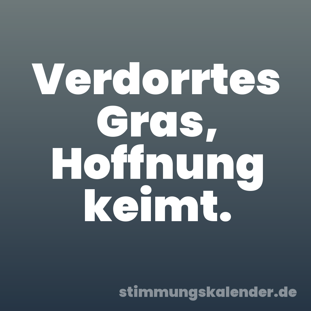 Verdorrtes Gras, Hoffnung keimt.