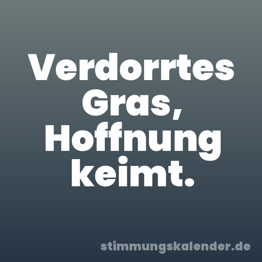Verdorrtes Gras, Hoffnung keimt.