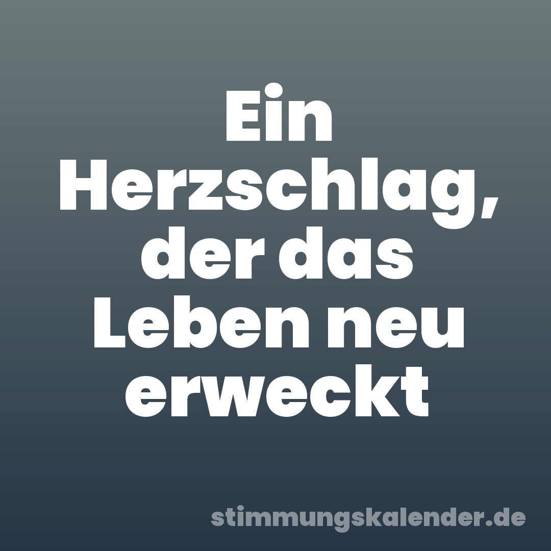 Ein Herzschlag, der das Leben neu erweckt