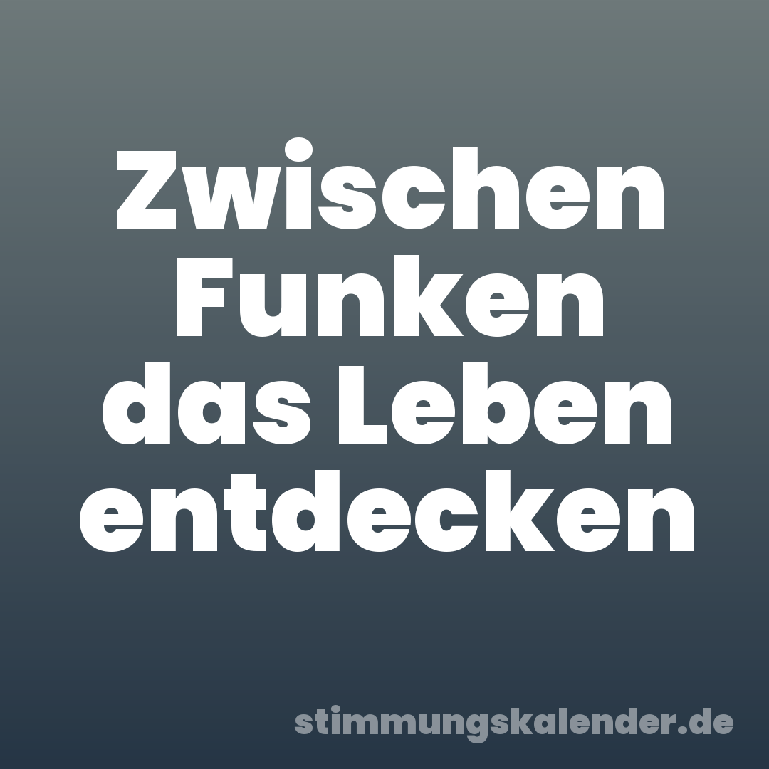 Zwischen Funken das Leben entdecken