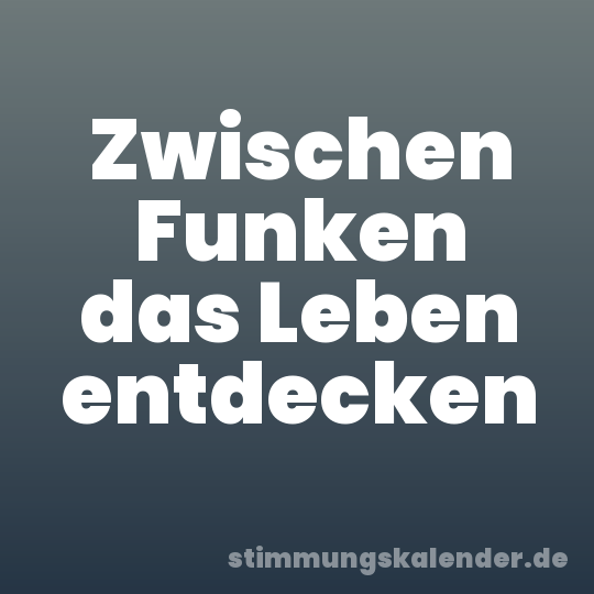 Zwischen Funken das Leben entdecken