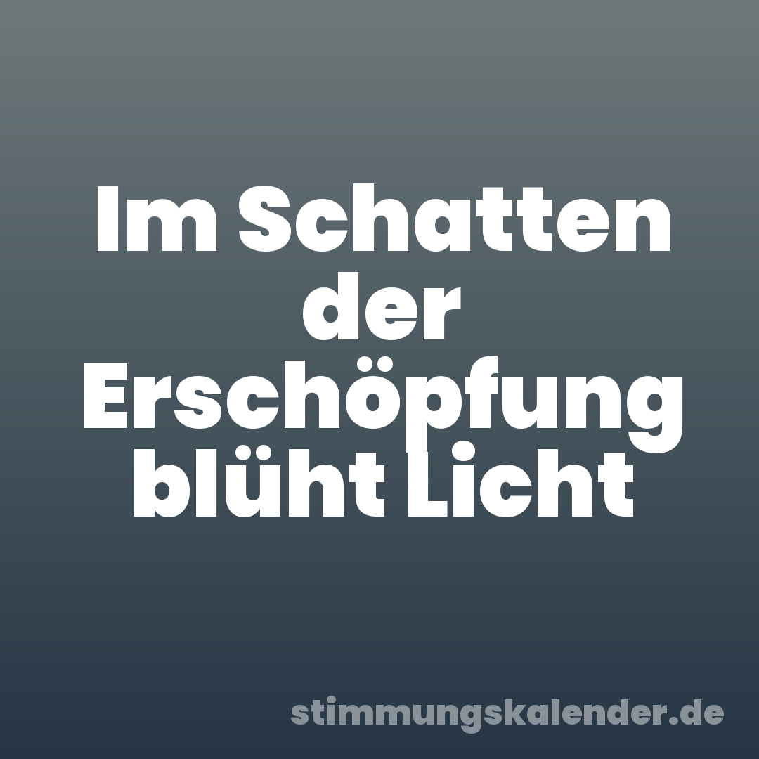Im Schatten der Erschöpfung blüht Licht