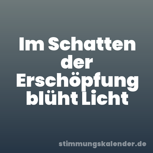 Im Schatten der Erschöpfung blüht Licht