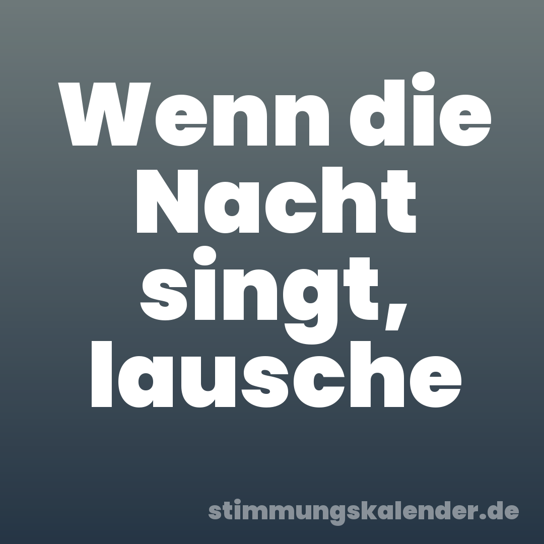 Wenn die Nacht singt, lausche