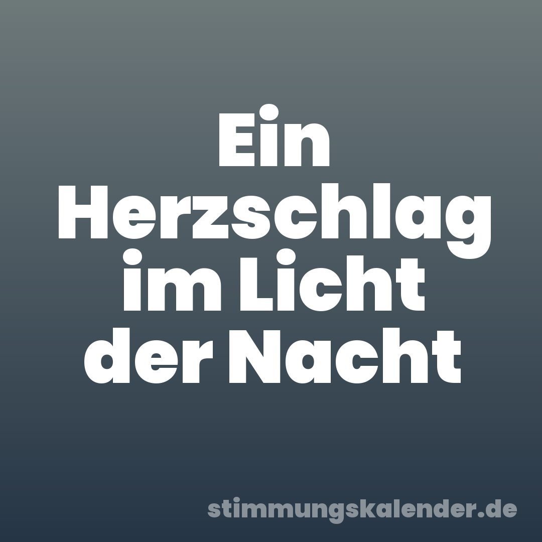 Ein Herzschlag im Licht der Nacht