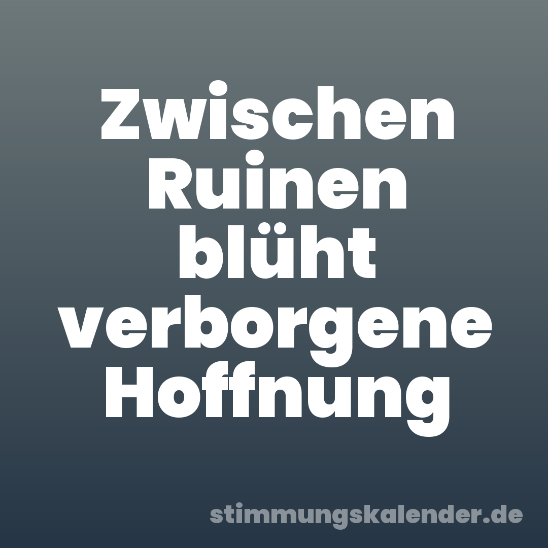 Zwischen Ruinen blüht verborgene Hoffnung