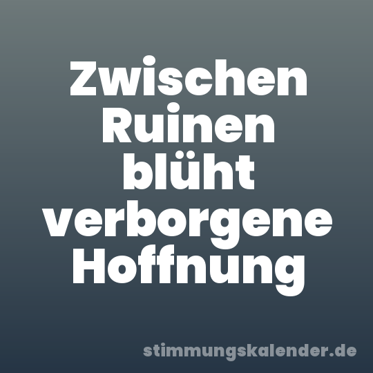 Zwischen Ruinen blüht verborgene Hoffnung