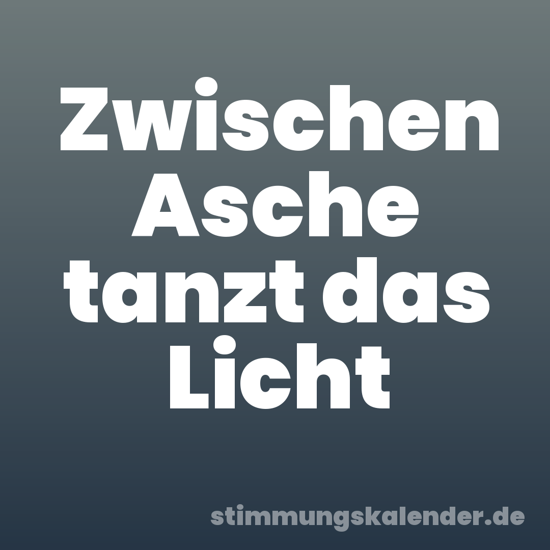 Zwischen Asche tanzt das Licht