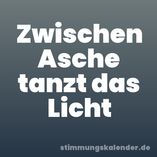 Zwischen Asche tanzt das Licht