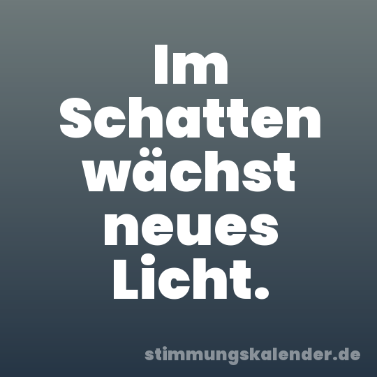Im Schatten wächst neues Licht.