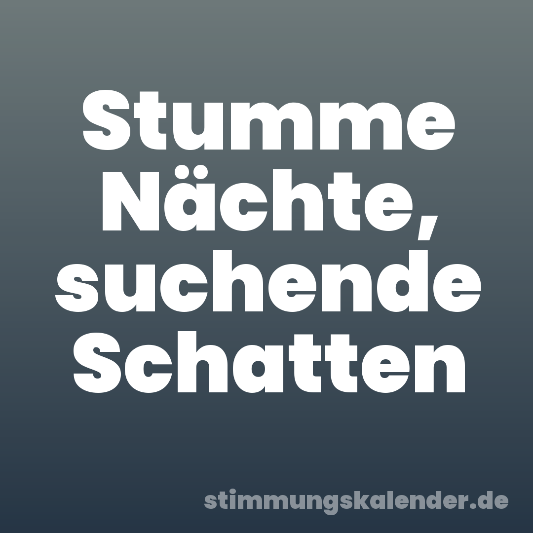 Stumme Nächte, suchende Schatten