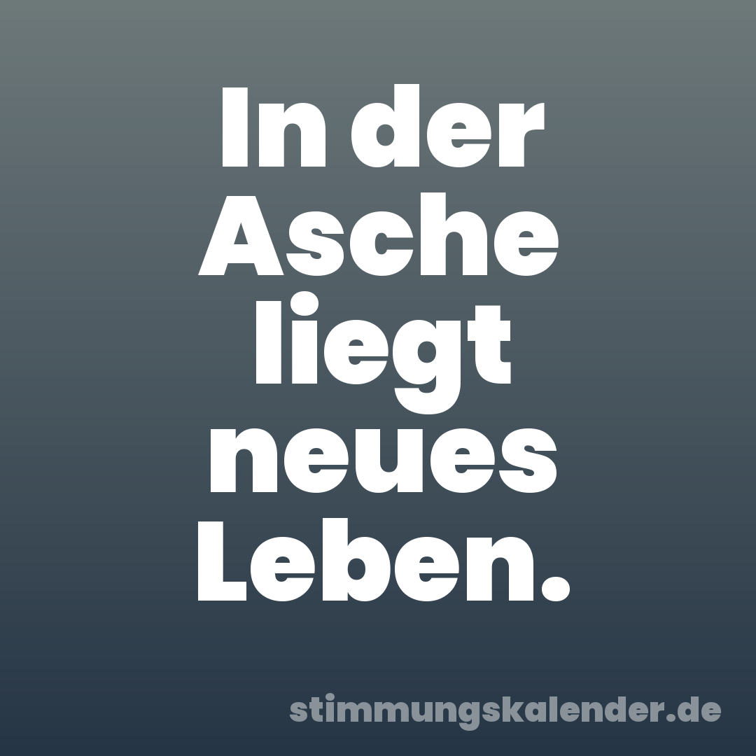 In der Asche liegt neues Leben.