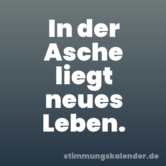 In der Asche liegt neues Leben.