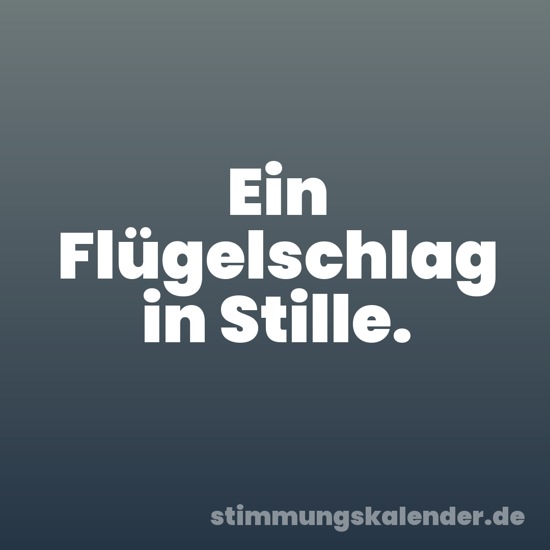 Ein Flügelschlag in Stille.