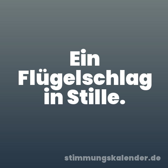 Ein Flügelschlag in Stille.