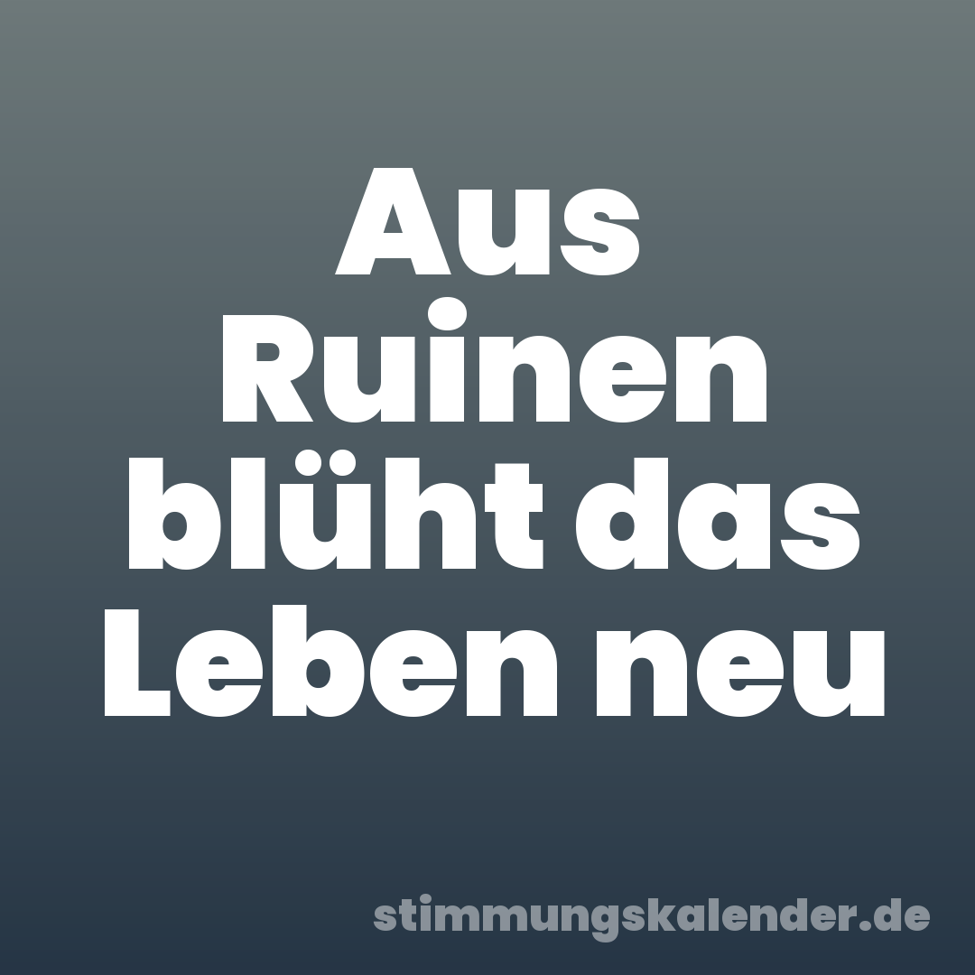 Aus Ruinen blüht das Leben neu