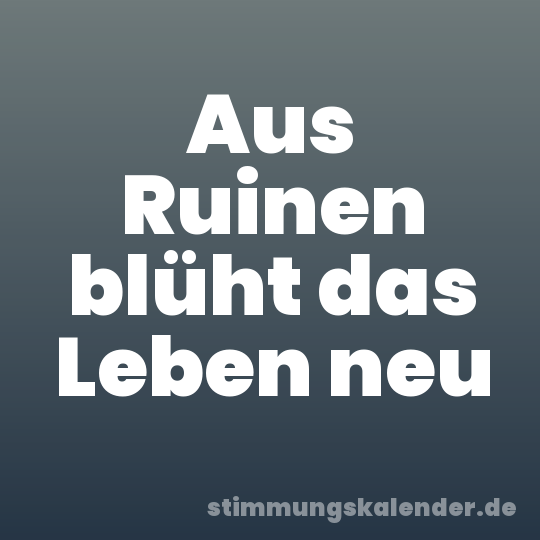 Aus Ruinen blüht das Leben neu