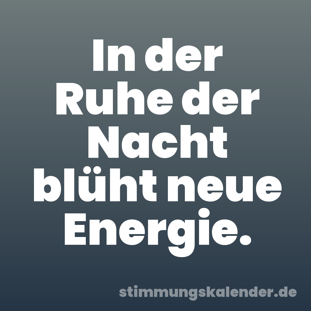 In der Ruhe der Nacht blüht neue Energie.