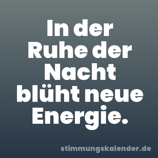 In der Ruhe der Nacht blüht neue Energie.