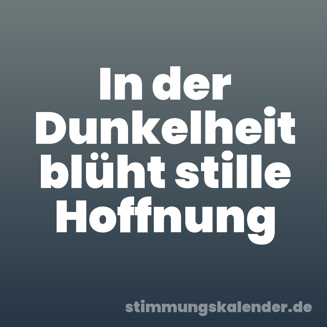 In der Dunkelheit blüht stille Hoffnung