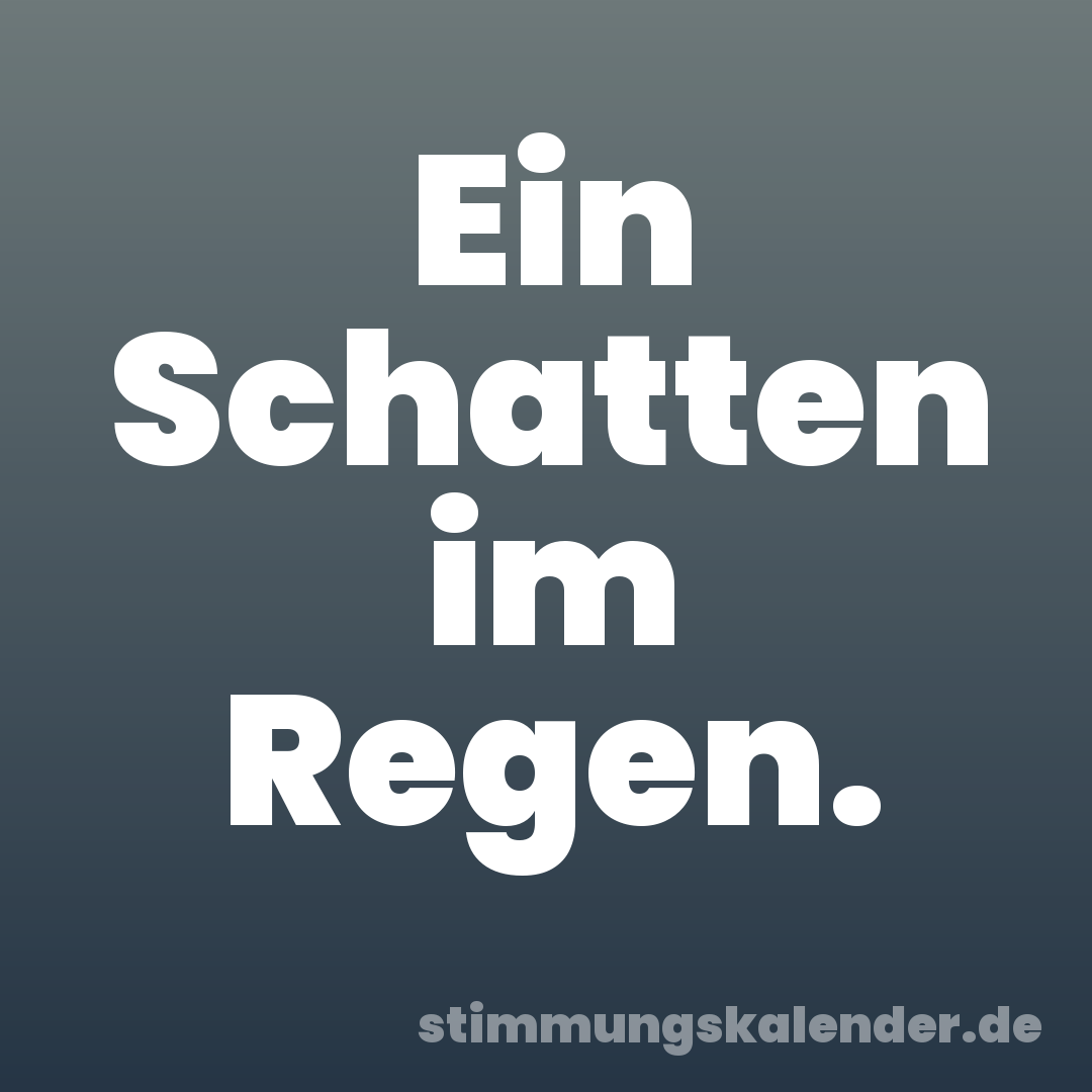 Ein Schatten im Regen.