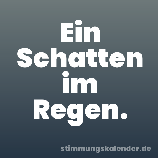 Ein Schatten im Regen.