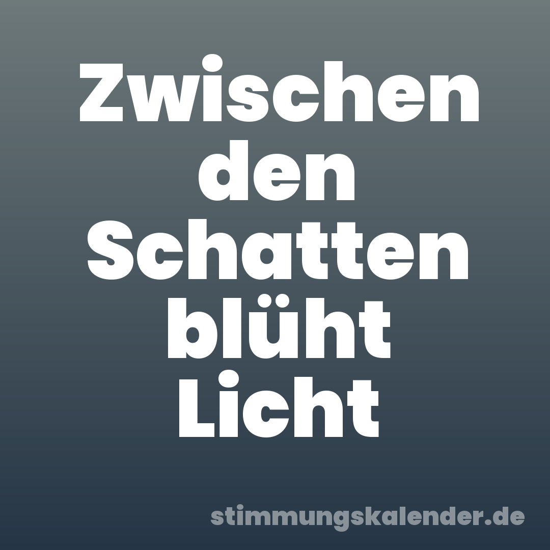 Zwischen den Schatten blüht Licht