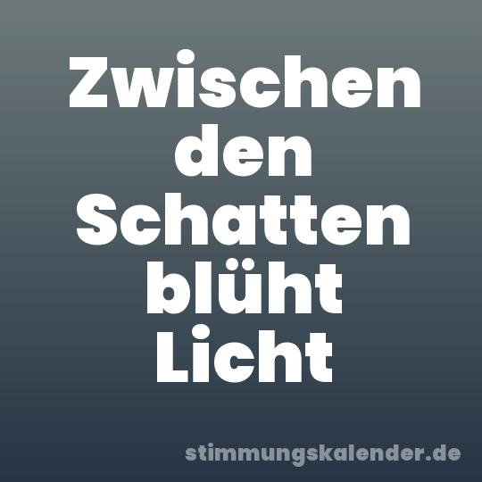 Zwischen den Schatten blüht Licht