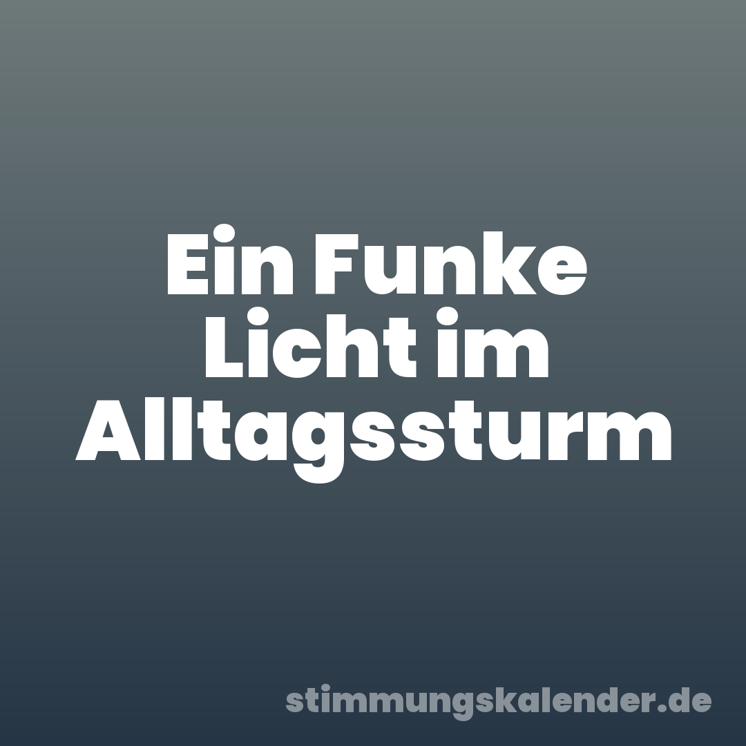 Ein Funke Licht im Alltagssturm
