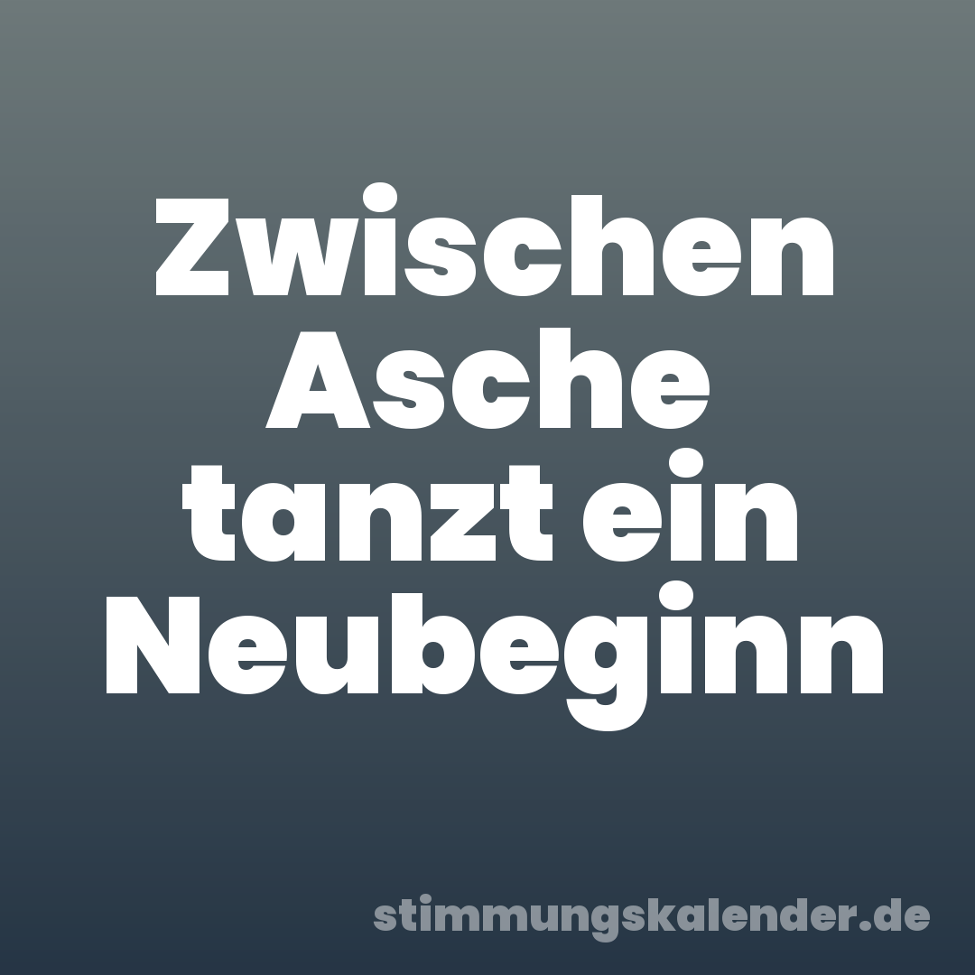 Zwischen Asche tanzt ein Neubeginn