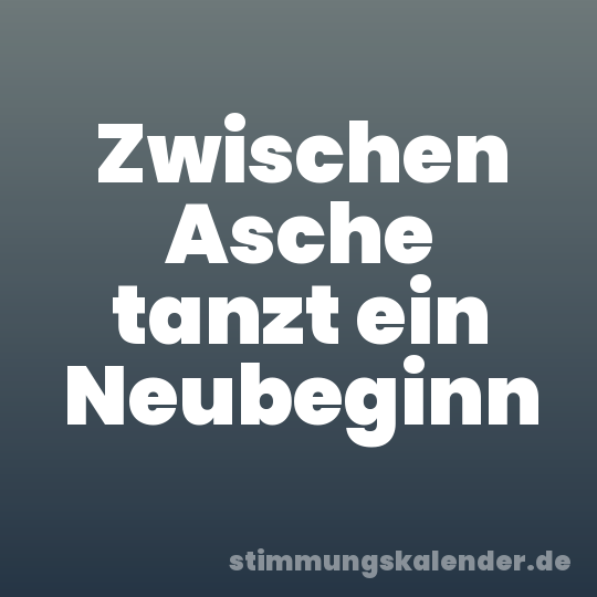 Zwischen Asche tanzt ein Neubeginn