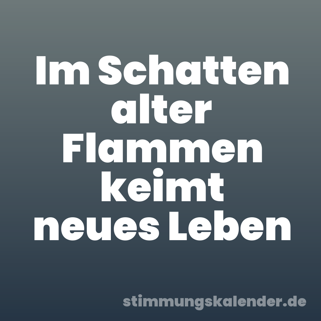 Im Schatten alter Flammen keimt neues Leben
