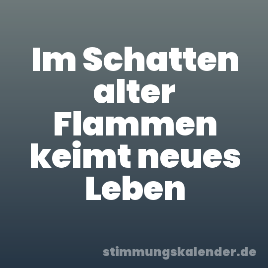Im Schatten alter Flammen keimt neues Leben