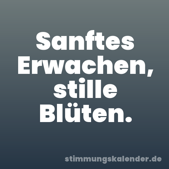 Sanftes Erwachen, stille Blüten.
