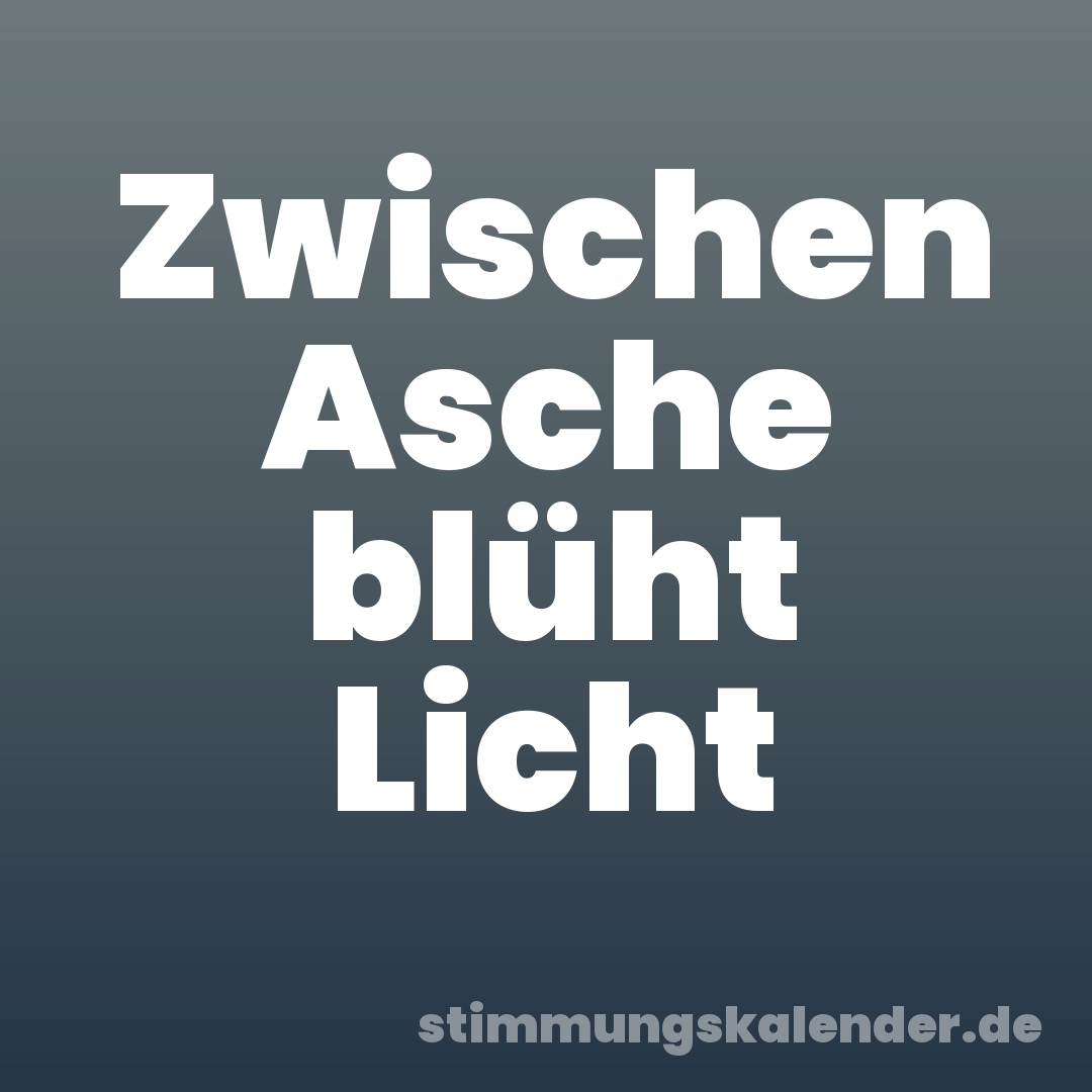Zwischen Asche blüht Licht