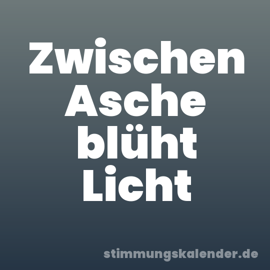 Zwischen Asche blüht Licht