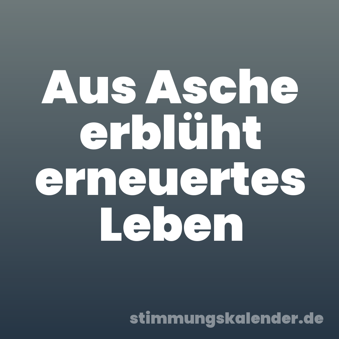 Aus Asche erblüht erneuertes Leben