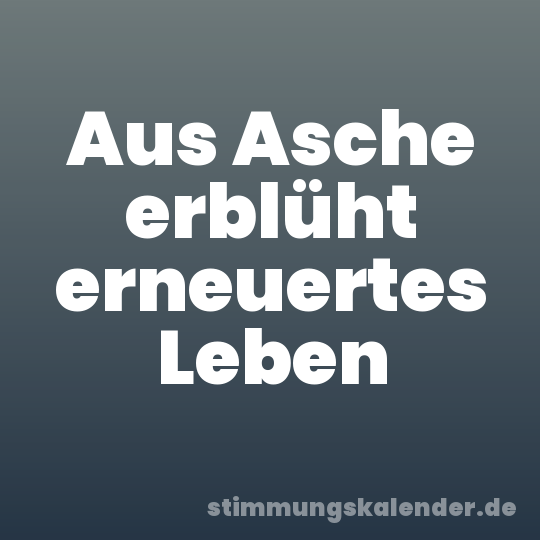 Aus Asche erblüht erneuertes Leben