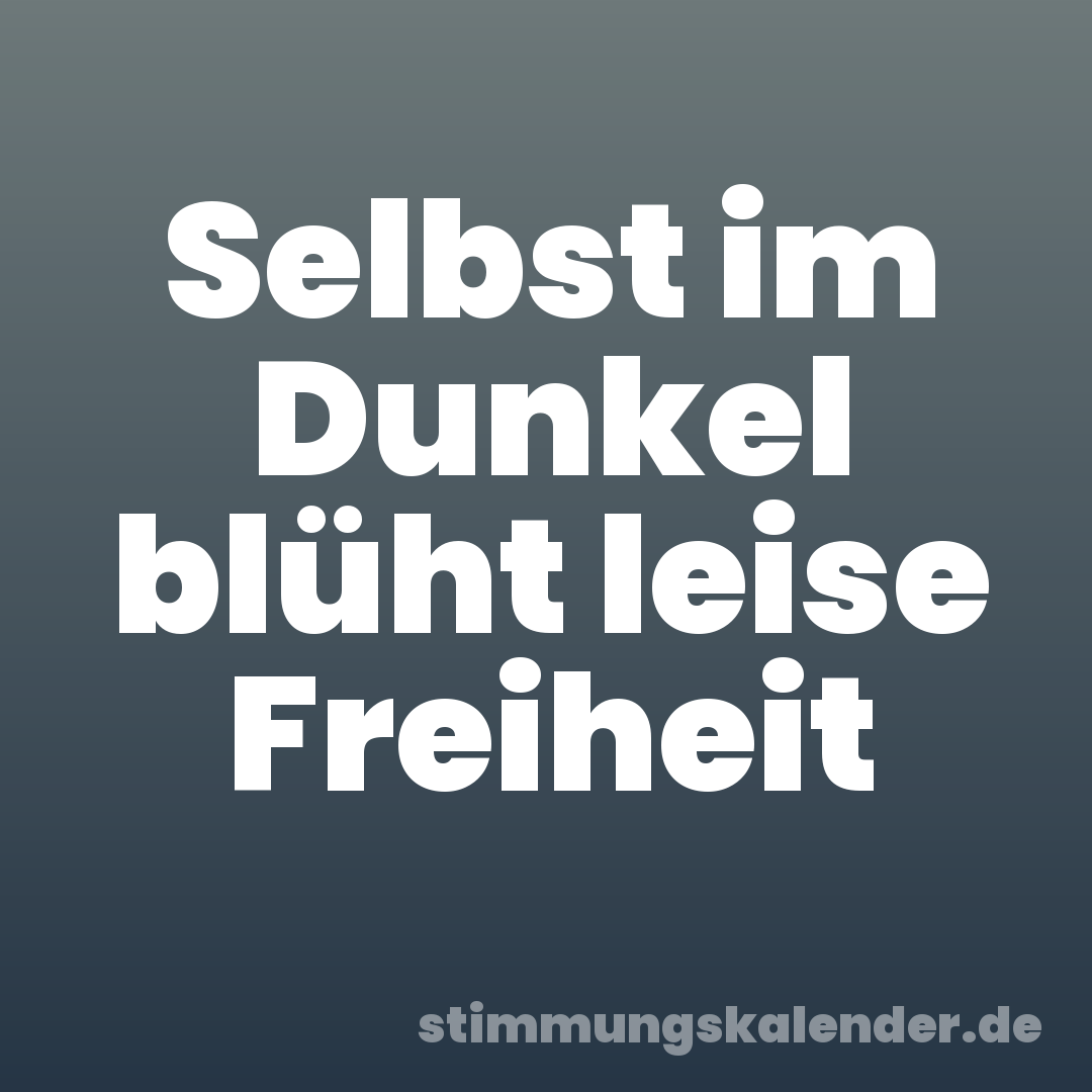 Selbst im Dunkel blüht leise Freiheit