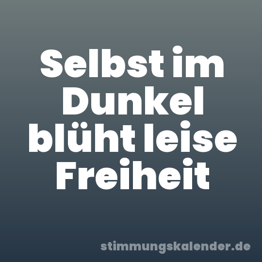 Selbst im Dunkel blüht leise Freiheit