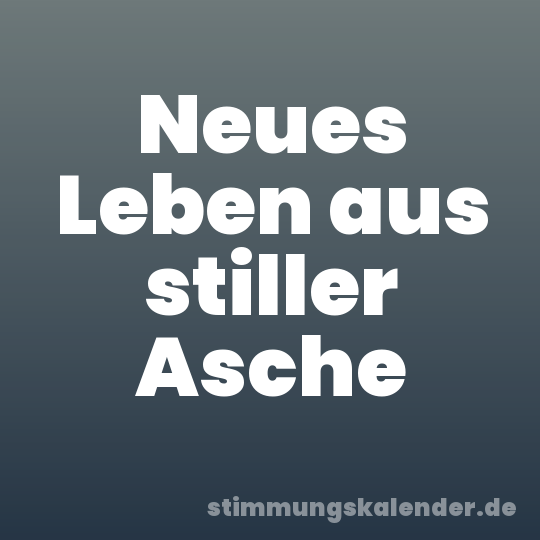 Neues Leben aus stiller Asche