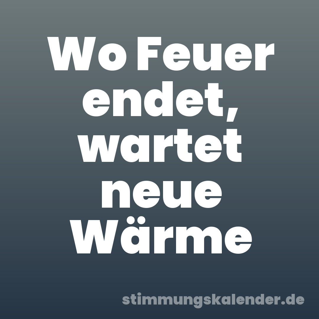 Wo Feuer endet, wartet neue Wärme