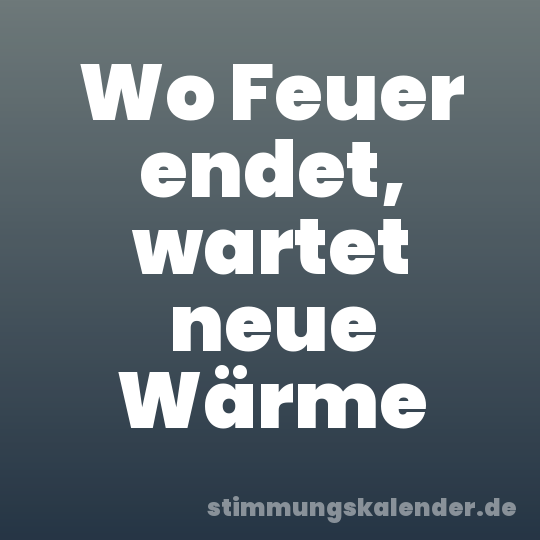 Wo Feuer endet, wartet neue Wärme