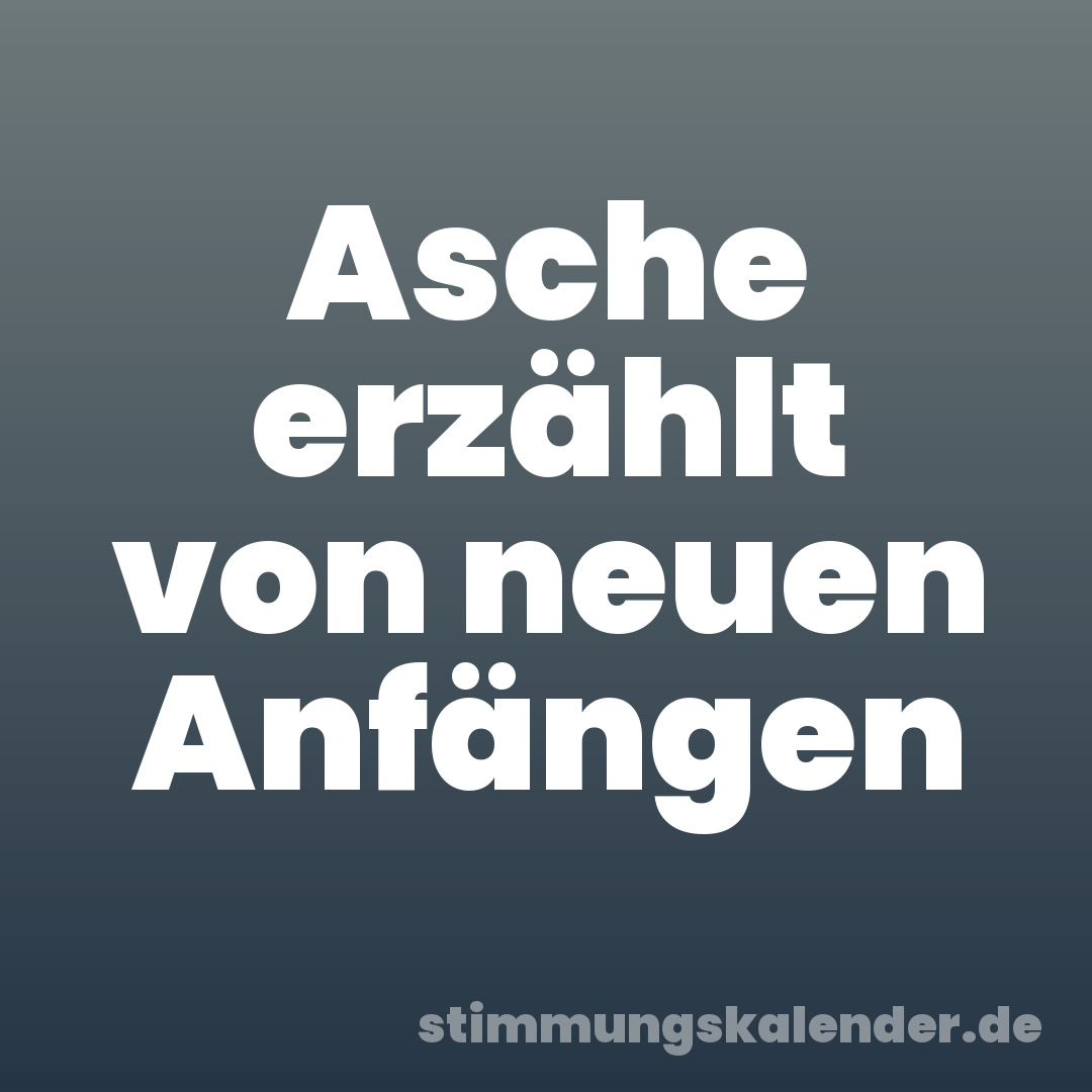 Asche erzählt von neuen Anfängen